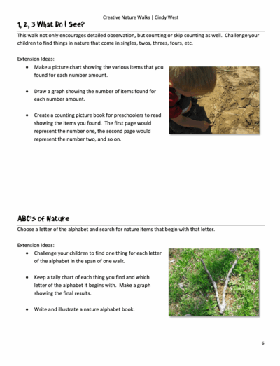 nature walk idea with dry mud and stick pictures